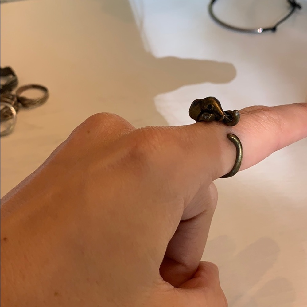 Elephant Ring - Picture 2 of 3